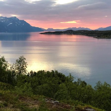 Aaroybukt Guesthouse Aroybukta Екстер'єр фото